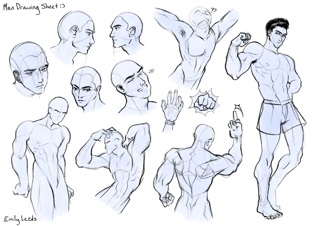 Male Anatomical